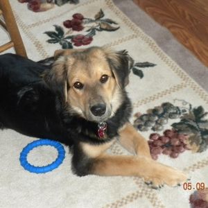 Meet your Posher, Tammy